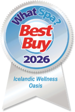 Best Buy Award