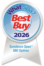 Best Buy Award